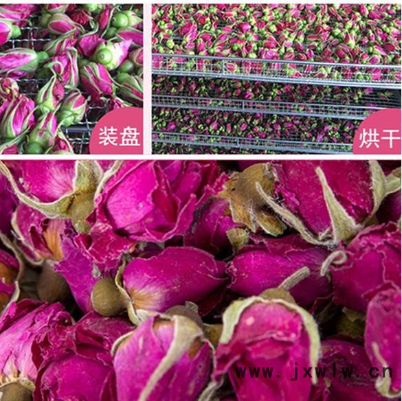 新款玫瑰花烘干機(jī) 玫瑰花茶熱泵干燥設(shè)備