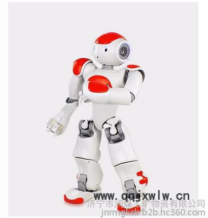 潤(rùn)煤C45DSF 人工智能情感智商親切的互動(dòng)學(xué)習(xí)能力**